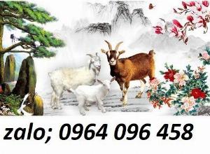 Tranh hợp tuổi mùi tranh gạch 3d tuổi mùi - KHFD3