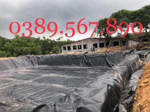 Bạt Lót Hồ Nuôi Tôm hdpe 0.3mm khổ 3x100m 300m2-kho gia lâm