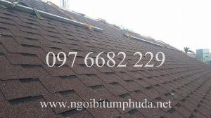 Ngói CNX Shingle, ngói bitum NCX Shingle nhập khẩu