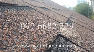 Ngói CNX Shingle, ngói bitum NCX Shingle nhập khẩu