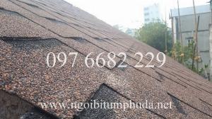 Ngói CNX Shingle, ngói bitum NCX Shingle nhập khẩu