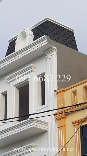 Nhà nhập khẩu ngói bitum, tấm lợp bitum