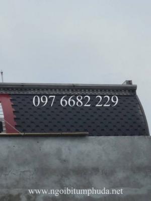 Nhà nhập khẩu ngói bitum, tấm lợp bitum