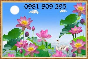 Tranh hoa sen - gạch tranh ốp tường hoa sen HYDF36