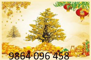 Tranh gạch 3d phong thủy phòng khách 767CP