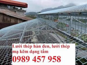 Chuyên Lưới làm giàn lan D4 50x50, Lưới hàn mạ kẽm 25x25, 100x100, 50x100, Lưới làm chuồng gà phi 4