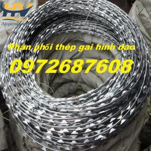 Cung cấp dây kẽm gai lưới dao bọc nhựa làm hàng rào chống trộm giá tốt nhất