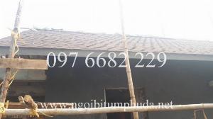 Nơi bán ngói nhập khẩu từ châu Âu, ngói bitum ép đá