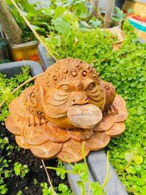 Thiềm thừ ngậm tiền chiêu tài mẫu lớn