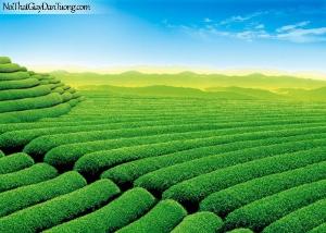 Tranh gạch 3d đồi núi 432AL