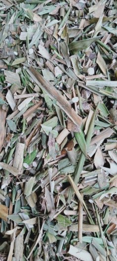 Phim cung cấp dây cơm Lênh, chân rết