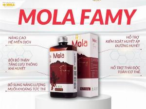 Mật ong lên men MOLA FAMY tăng cường sức khỏe, nâng cao đề kháng cho cơ thể