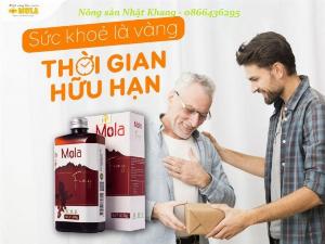 Mật ong lên men MOLA FAMY tăng cường sức khỏe, nâng cao đề kháng cho cơ thể