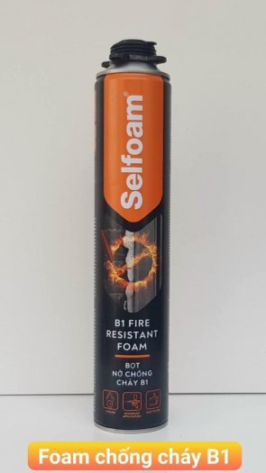 Keo bọt nở chống cháy Sel Fire Resistant FoamB1