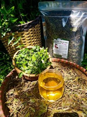 Chè Vằng Sẻ Rừng Lợi Sữa Bhnong gói 500g thanh nhiệt, lợi sữa