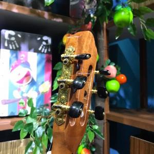GUITAR CAO CẤP GIÁ TỐT