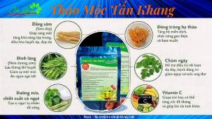 Thảo Mộc Tấn Khang