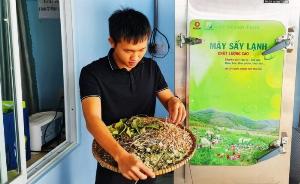 Lá xông giải cảm sấy lạnh The Moshav Farm