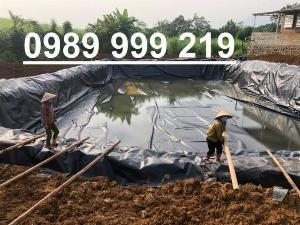 Màng đen hdpe 0.2mm khổ 6mx100m 600m2-kho hưng yên