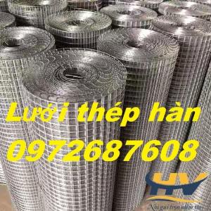 Lưới thép hàn mạ kẽm, D2, D3 a50x50 tại Bình Dương