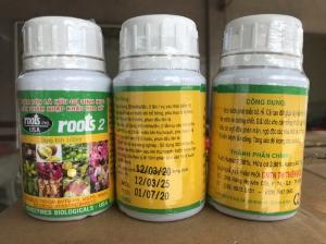 Kích ra rễ Root 2 chai