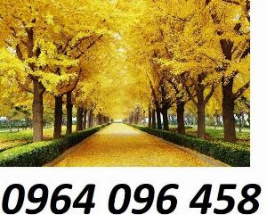 Tranh 3d cây cổ thụ - tranh gạch 3d cây cổ thụ - DSA33