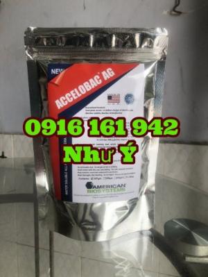 ACCELOBAC AG: Men vi sinh dùng cho đáy ao nuôi tôm,hàng chính hãng Mỹ