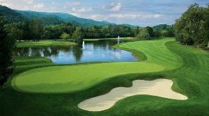 Cỏ sân golf tphcm