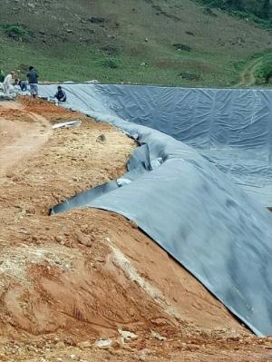 Tấm Bạt Hdpe 0.8mm trải trang trại chăn nuôi khổ 4x50m 200m2-kho Quảng Nam