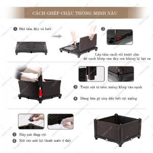 Chậu trồng cây ăn quả cỡ to kích thước 80x80x50cm bền khỏe