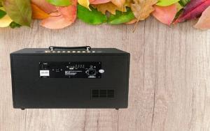 Loa xách tay công suất thật đến 150W Acnos CS450 đến từ Hàn Quốc