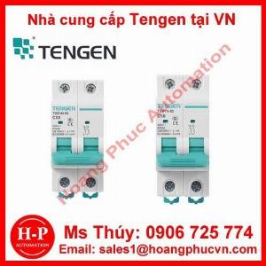 Đại lý cung cấp Bộ điều khiển nhiệt độ Tengen tại việt nam