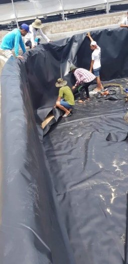 Bạt hdpe 1mm chống thấm lót hồ sinh thái 2022