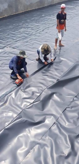 Màng nhựa hdpe 1mm khổ 4mx50m lót hồ bơi 2022