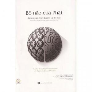 Bộ Não Của Phật