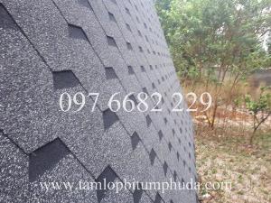 Nhà nhập khẩu Tấm lợp bitum phủ đá CNX Shingles, Tấm lợp bitum CNX Shingles, Ngói bitum Shingles