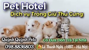 Khách sạn Thú Cưng Hà Nội
