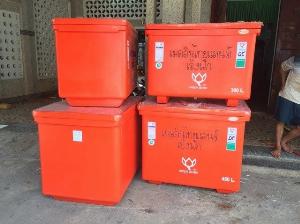 Thùng đá thái lan 300L giữ lạnh thực phẩm, thùng trữ đông hải sản thời gian dài.