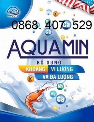 Khoáng tổng hợp Aquamin