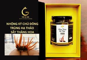 Đông trùng hạ thảo ký nhộng