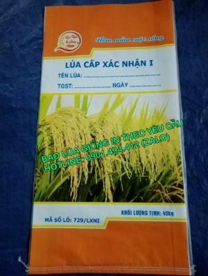 Bao bì lúa giống in ghép màng phức hợp