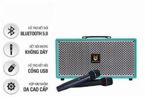 Loa xách tay Best Sound M6 kèm 2 micro UHF