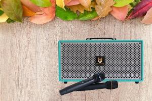 Loa xách tay Best Sound M6 kèm 2 micro UHF