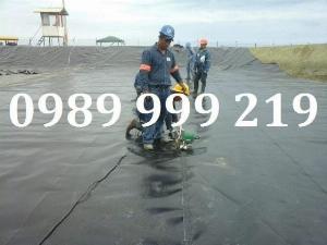Bạt công trình hdpe 1.0mm khổ 4m làm hồ cảnh quan
