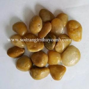Sỏi trang trí Việt Nan