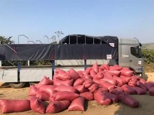 Phân Bò Cỏ Khô Nguyên Chất 100% Không Pha Trộn Tạp Chất