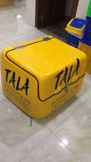Thùng chở hàng sau xe máy -TH01