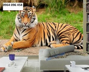 Gạch tranh 3d con hổ - 722DB