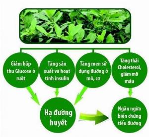 Trà Dây Thìa Canh Hygie 250g giúp ổn định đường huyết