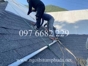 Nhà nhập khẩu ngói bitum CNX Shingle